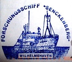 Senckenberg